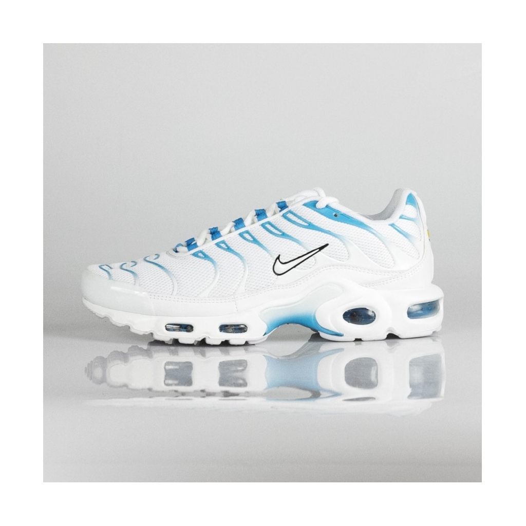 nike tn blue fury