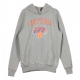 SWEATSHIRT TEAM LOGO PO HOODY NEYKNI HELLGRAUER HEIZUNG