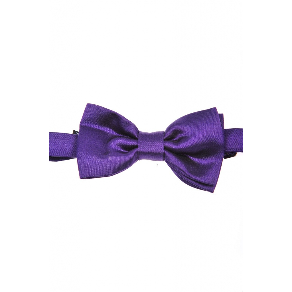 PAPILLON VIOLA