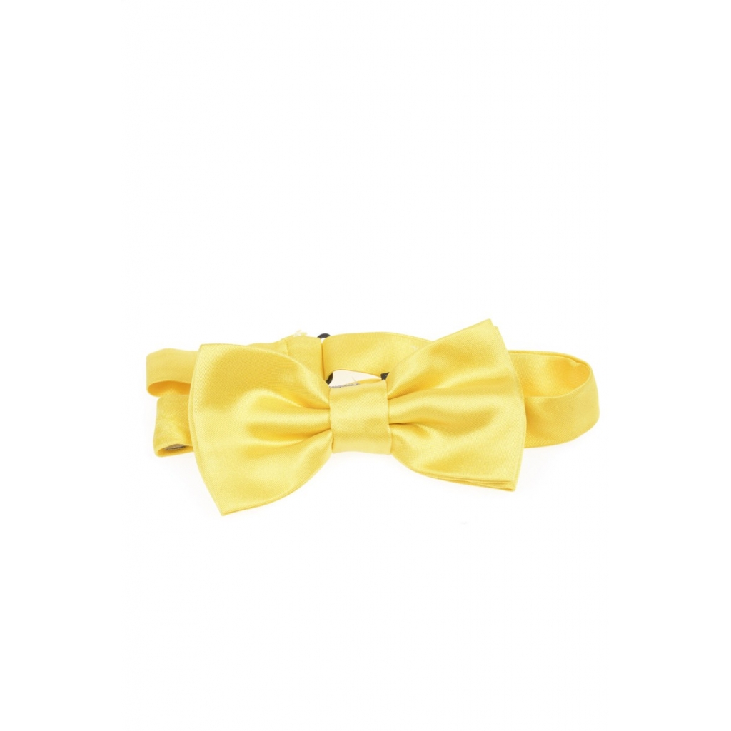 PAPILLON GIALLO