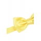 PAPILLON GIALLO