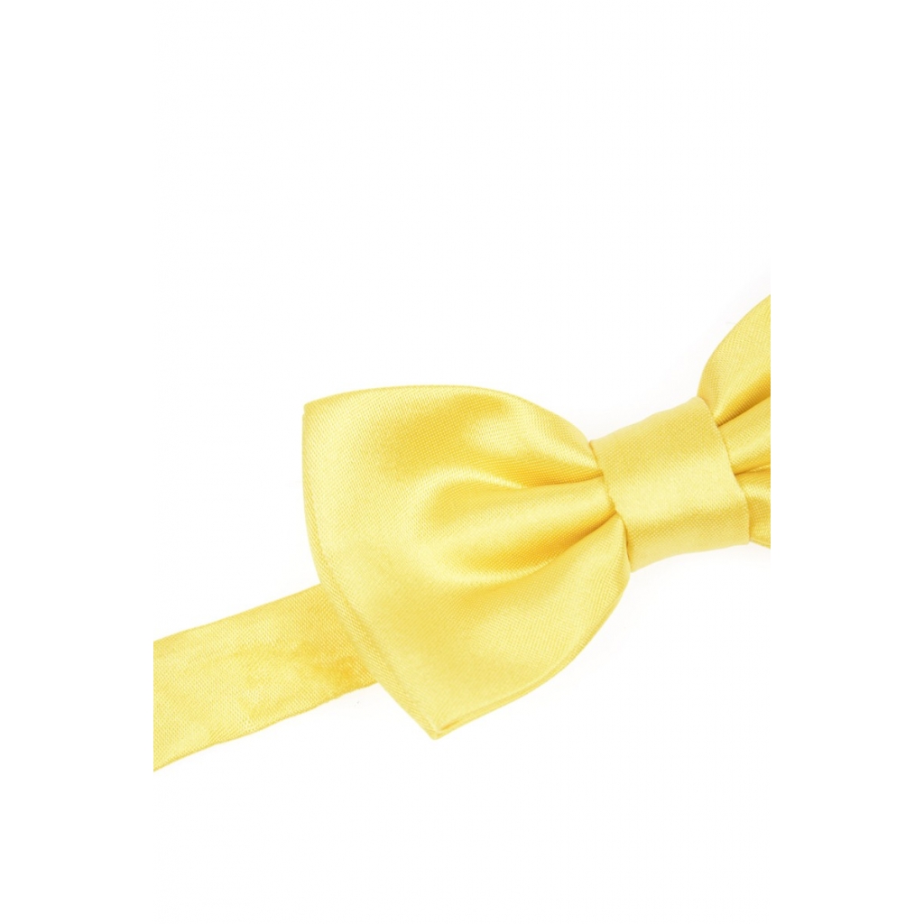 PAPILLON GIALLO