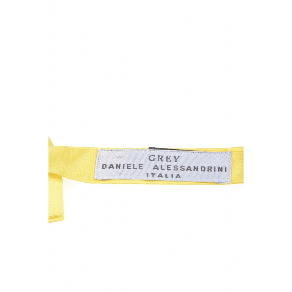 PAPILLON GIALLO
