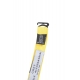 PAPILLON GIALLO