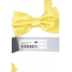 PAPILLON GIALLO