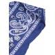 FOULARD BORDERLINE BLU