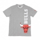 MAGLIETTA NBA TEAM TEE CHIBUL LIGHT GREY HEATHER/ORGINAL TEAM COLORS