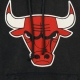 FELPA CAPPUCCIO NBA WORN LOGO HOODY HARDWOOD CLASSICS CHIBUL BLACK/ORIGINAL TEAM COLORS