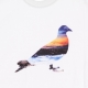 MAGLIETTA UOMO SUNSET PIGEON TEE WHITE