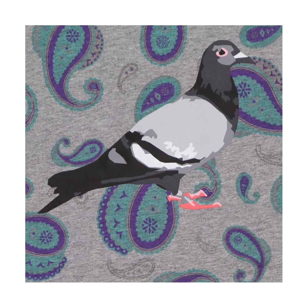 MAGLIETTA UOMO PIGEON LOGO TEE TEAL