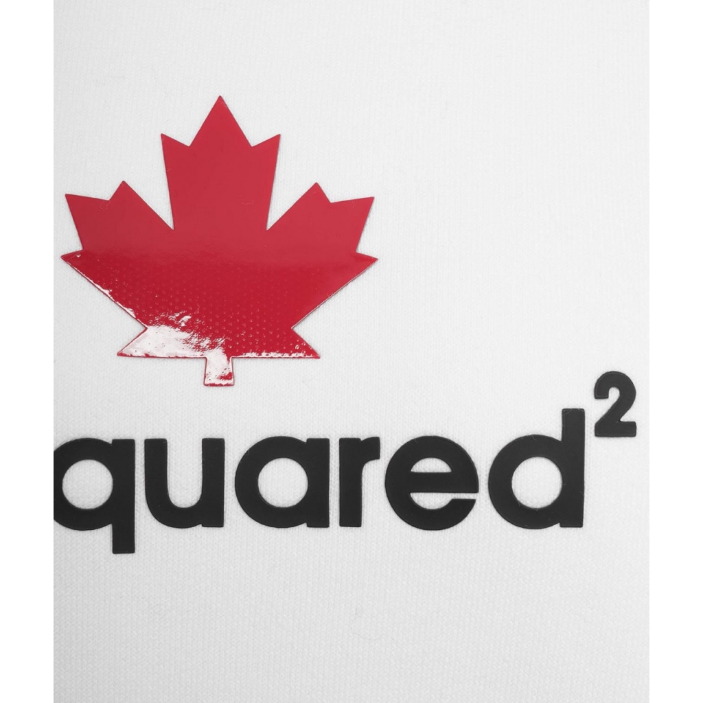 logo dsquared