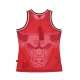 CANOTTA TIPO BASKET UOMO NBA BIG FACE BLOWN OUT FASHION JERSEY HARDWOOD CLASSICS CHIBUL RED/ORIGINAL TEAM COLORS