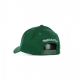 CAPPELLINO VISIERA CURVA UOMO NBA SAINT REDLINE SNAPBACK CHIBUL GREEN/CELTICS GREEN