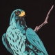 MAGLIETTA UOMO FALCO PELLEGRINO OVERSIZE TEE BLACK