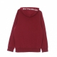 felpa cappuccio uomo box logo RED TERRA COTTA