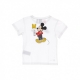 maglietta bambino mickey tee x disney WHITE