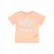 maglietta bambino trefoil tee HAZCOR/WHITE