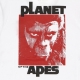 maglietta uomo pota dominion tee x planet of the apes OPTIC WHITE