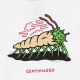maglietta uomo centipweed tee WHITE