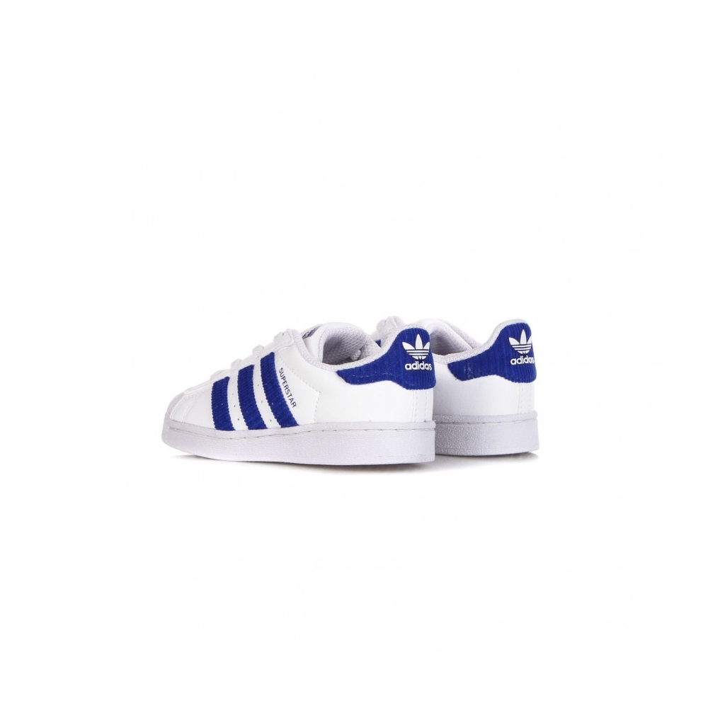 scarpa bassa ragazzo superstar c CLOUD WHITE/ROYAL BLUE/CLOUD WHITE