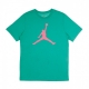 maglietta uomo jumpman fill crew NEPTUNE GREEN/WATERMELON