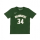 maglietta ragazzo nba tee icon edition no 34 giannis antetokounmpo milbuc ORIGINAL TEAM COLORS