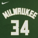 maglietta ragazzo nba tee icon edition no 34 giannis antetokounmpo milbuc ORIGINAL TEAM COLORS