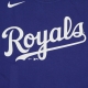 maglietta uomo mlb wordmark tee kanroy RUSH BLUE