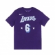 maglietta uomo nba essential tee no 6 lebron james loslak COURT PURPLE