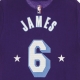 maglietta uomo nba essential tee no 6 lebron james loslak COURT PURPLE