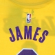 maglietta ragazzo nba icon edition tee no 6 lebron james loslak ORIGINAL TEAM COLORS