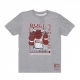 maglietta uomo nba last dance 6x champs tee hardwood classics 3 chibul GREY