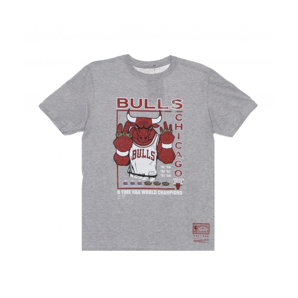 maglietta uomo nba last dance 6x champs tee hardwood classics 3 chibul GREY