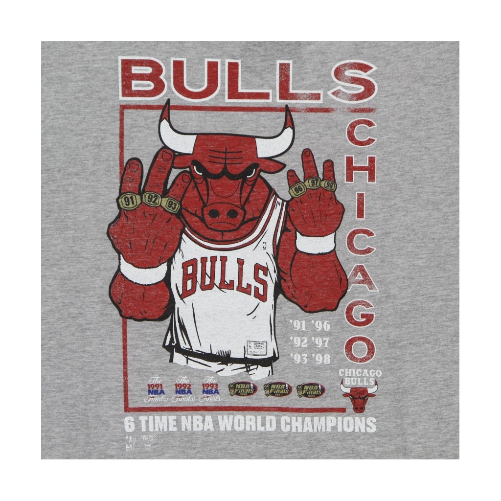maglietta uomo nba last dance 6x champs tee hardwood classics 3 chibul GREY
