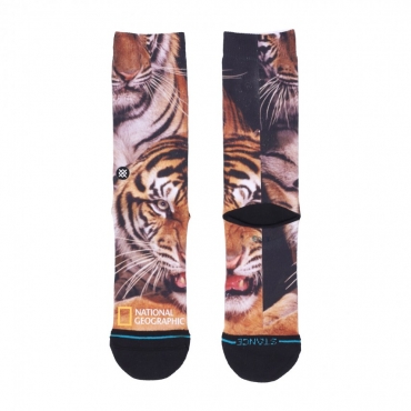 calza media uomo two tigers x national geographic BLACK