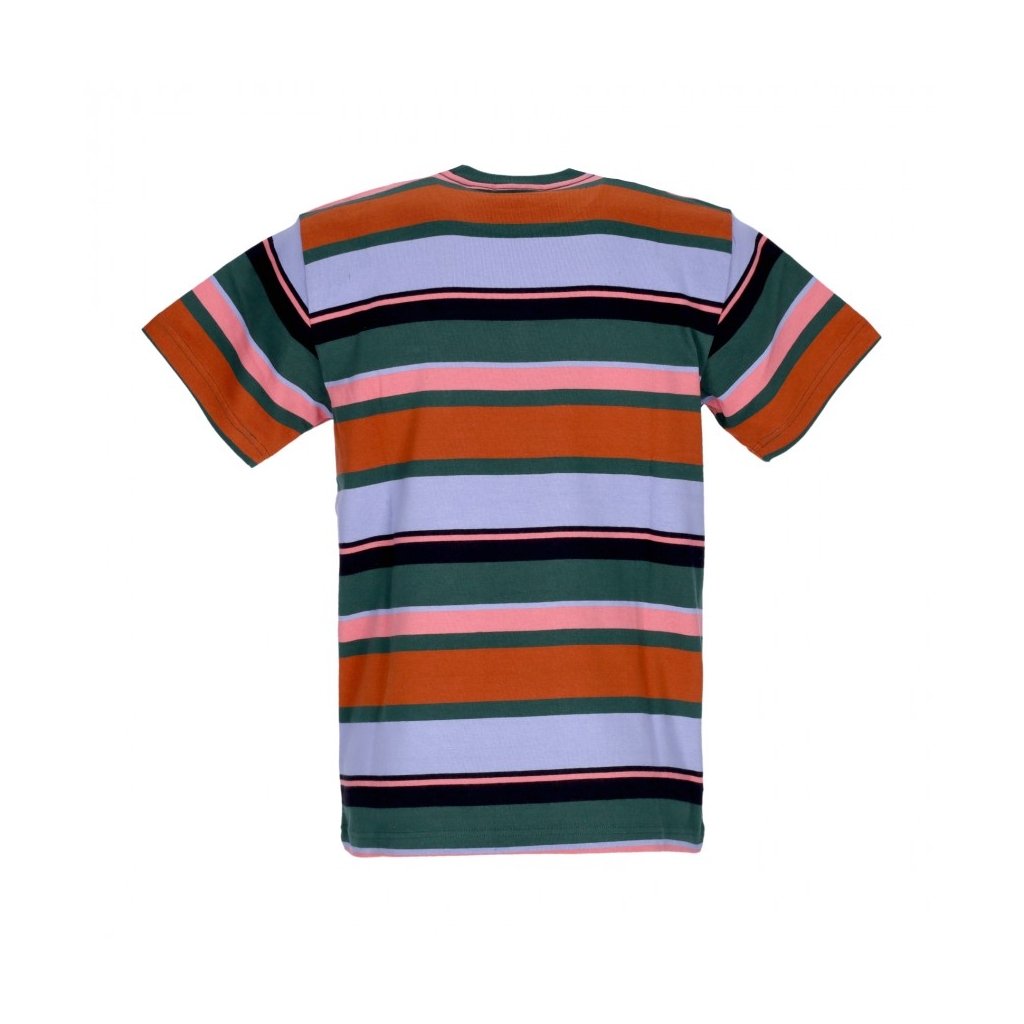 maglietta uomo stroming stripe tee DARK CEDAR MULTI