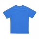 maglietta uomo fb nations tee BRIGHT ROYAL/BRIGHT ROYAL/GREEN