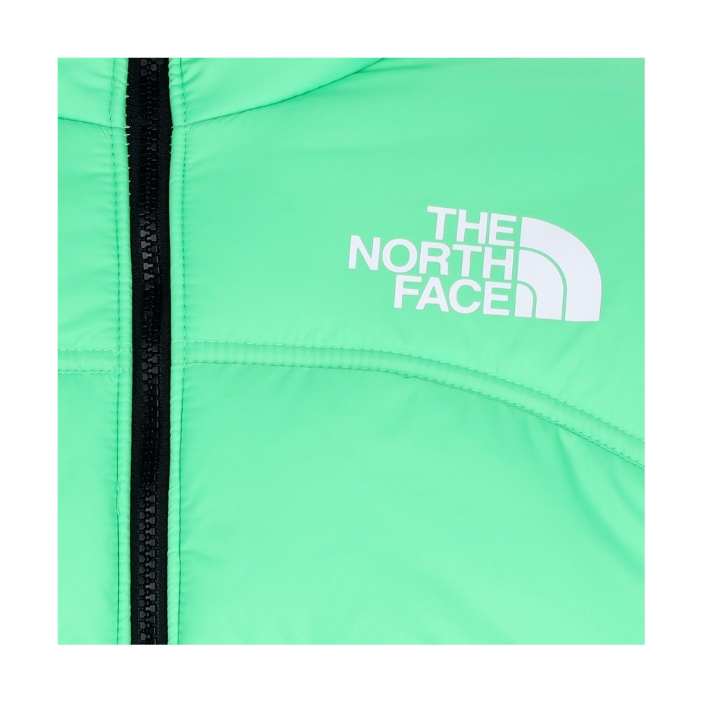 piumino uomo jacket 2000 CHLOROPHYLL GREEN