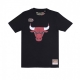 maglietta uomo nba team logo tee chibul BLACK