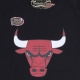 maglietta uomo nba team logo tee chibul BLACK