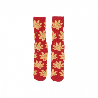 calza media uomo gingerbread buddy sock RED