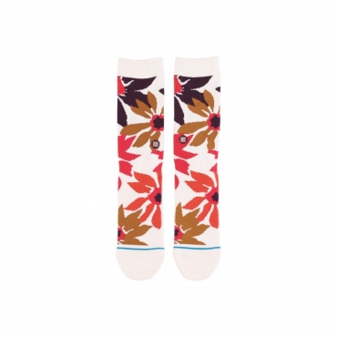 calza media uomo dandy WINE