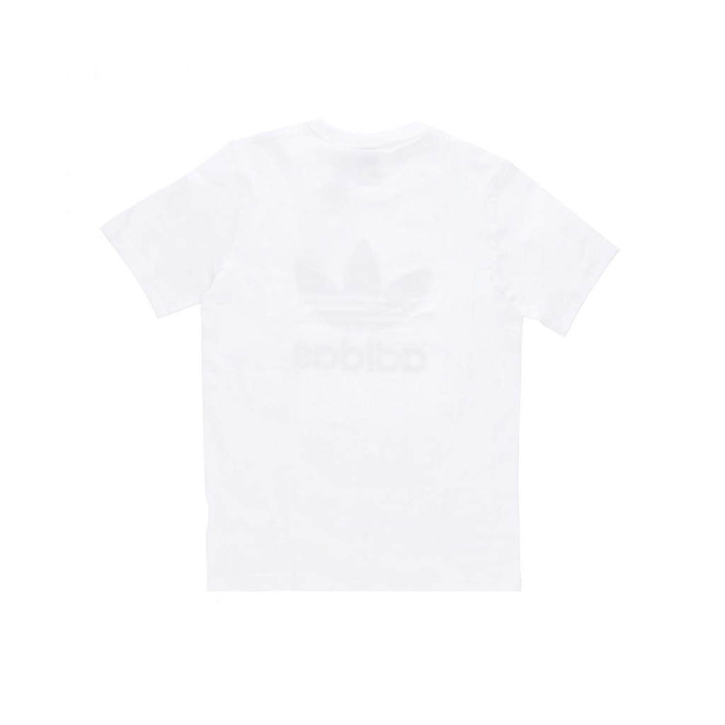 maglietta uomo adicolor trefoil tee WHITE/MINT GREEN