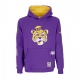 felpa cappuccio uomo ncaa team origins fleece hoodie loutig PURPLE