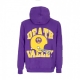 felpa cappuccio uomo ncaa team origins fleece hoodie loutig PURPLE