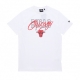 maglietta uomo nba script tee chibul WHITE/FRONT DOOR RED