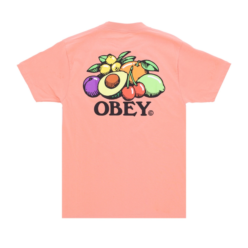 maglietta uomo bowl of fruit classic tee CITRUS