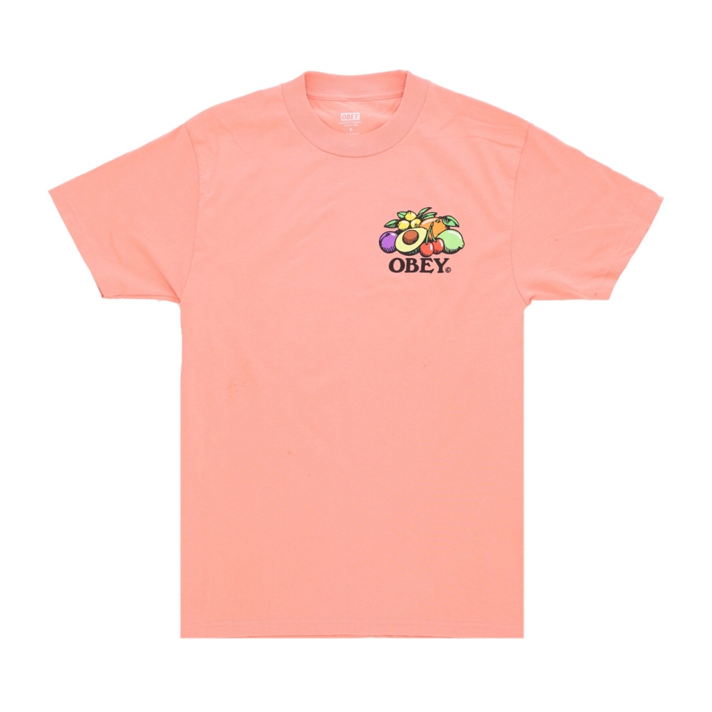 maglietta uomo bowl of fruit classic tee CITRUS