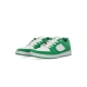 scarpe skate uomo accel slim GREEN/WHITE