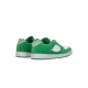 scarpe skate uomo accel slim GREEN/WHITE